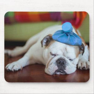 Tapis De Souris Chiot malade des images de Getty jeune