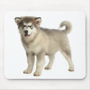Tapis de souris chiot Malamute d'Alaska
