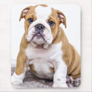 Tapis De Souris Chiot mignon de bouledogue s'asseyant