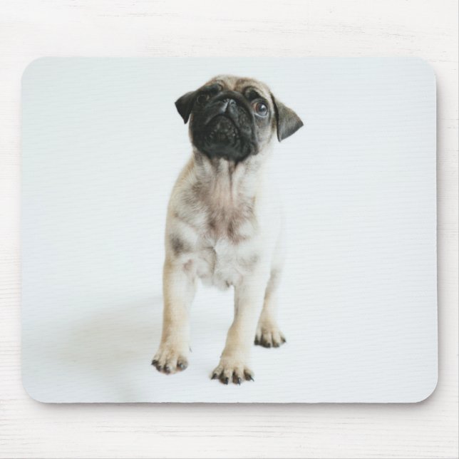 Tapis De Souris Chiot mignon de carlin (Devant)