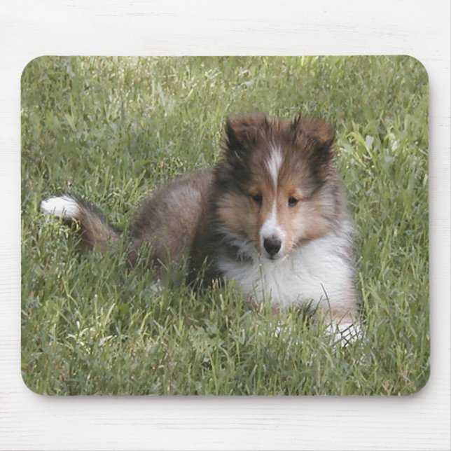 Tapis De Souris Chiot mignon de chien de berger de Shetland se (Devant)