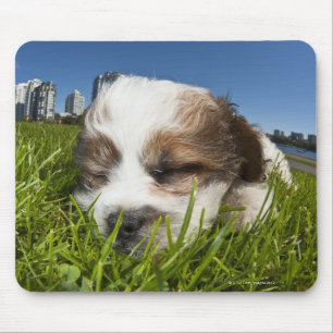 Tapis De Souris Chiot mignon en parc, Vancouver, AVANT JÉSUS