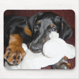 Tapis De Souris Chiot mignon Mousepad de Pinscher de dobermann