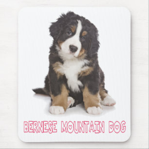 Tapis de souris Chiot Montagne Bernoise