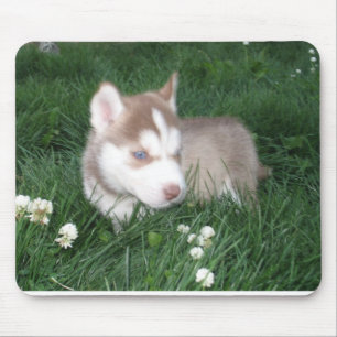 Tapis De Souris Chiot Mousepad de chien de traîneau sibérien