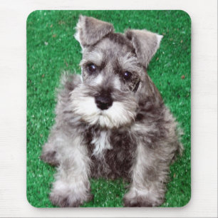 Tapis De Souris Chiot Mousepad de Schnauzer miniature