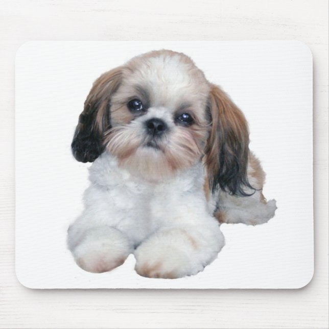 Tapis De Souris Chiot Mousepad de Shih Tzu (Devant)
