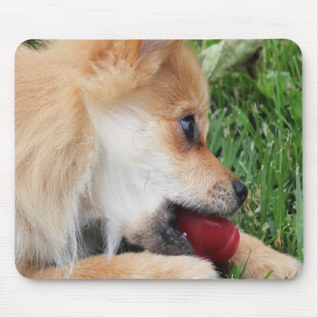 Tapis De Souris Chiot Poméranien avec balle (Devant)