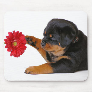 Tapis de souris Chiot Rottweiler avec Gerbera Dais