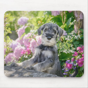 Tapis De Souris Chiot Schnauzer standard dans un jardin fleuri