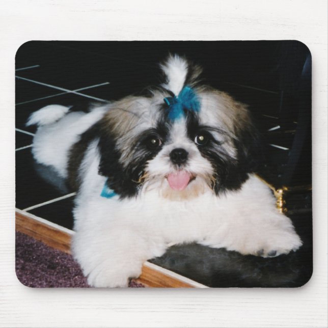 Tapis de souris chiot Shih-Tzu (Devant)