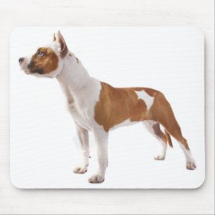 Tapis de souris chiot Terrier Américain Staffordsh