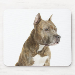 Tapis de souris chiot Terrier Américain Staffordsh
