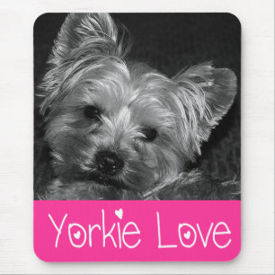 Tapis de souris chiot Yorkshire Terrier Amour
