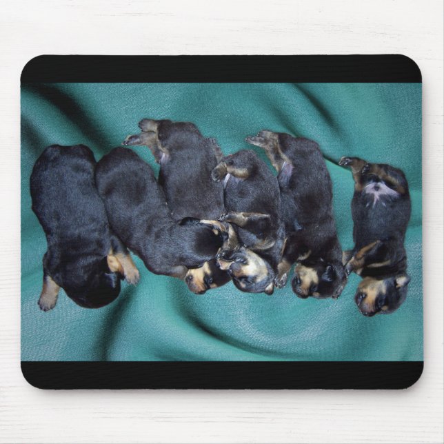 Tapis De Souris chiots à tête blanche (Devant)