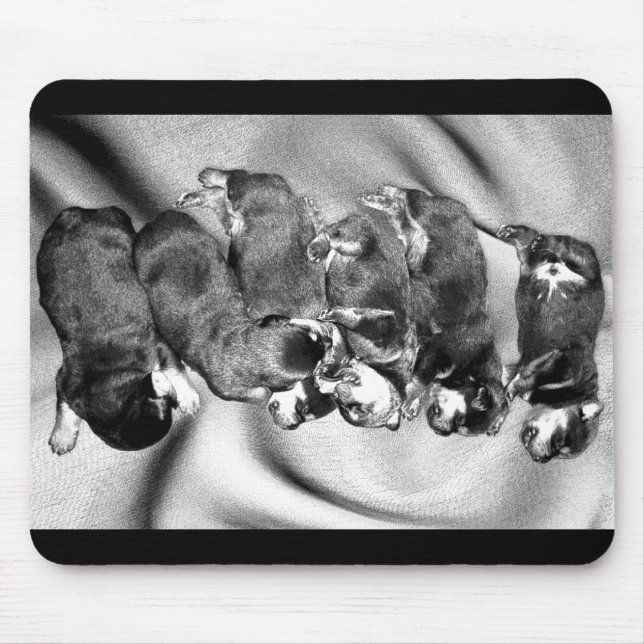 Tapis De Souris chiots à tête blanche (Devant)