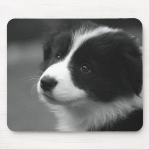 Tapis De Souris Chiots Border Collie