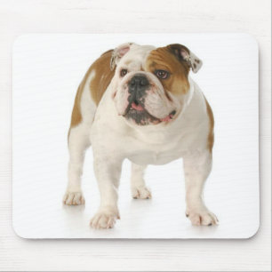 Tapis de souris chiots Bouledogue anglais