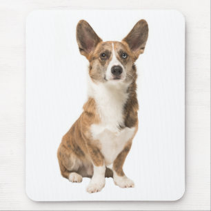 Tapis De Souris Chiots Cardigan Welsh Corgi