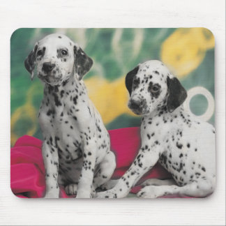 Tapis De Souris Chiots dalmate Mousepad