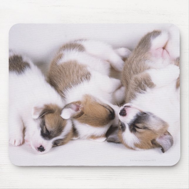 Tapis De Souris Chiots de corgi dorants (Devant)