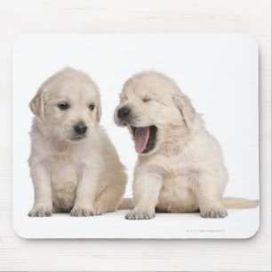 Tapis De Souris Chiots de golden retriever (4 semaines de)