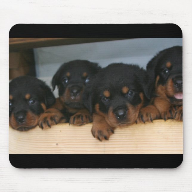 Tapis De Souris chiots de rottie (Devant)