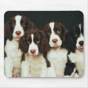 Tapis De Souris Chiots d'épagneul de springer anglais (2)