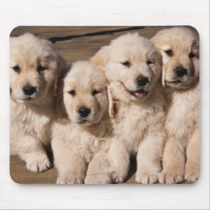 Tapis De Souris Chiots doux de golden retriever