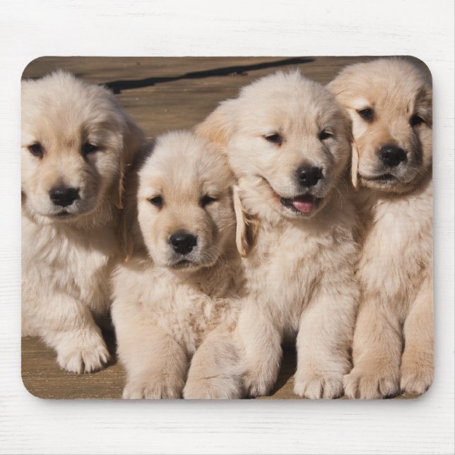 Tapis De Souris Chiots doux de golden retriever (Devant)
