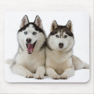 Tapis de souris chiots Husky Sibérien