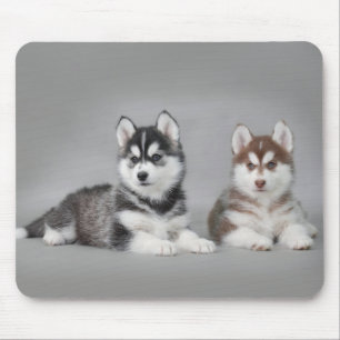 Tapis De Souris Chiots husky sibériens
