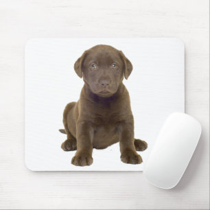 Tapis De Souris Chiots Labrador au Chocolat