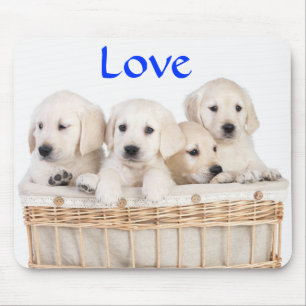 Tapis de souris chiots Labrador Retriever jaune Am