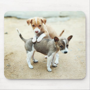 Tapis De Souris Chiots mignons jouant sur la plage