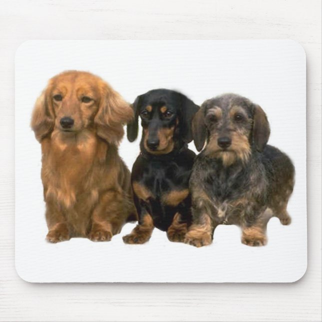 Tapis De Souris Chiots Mousepad de teckel (Devant)