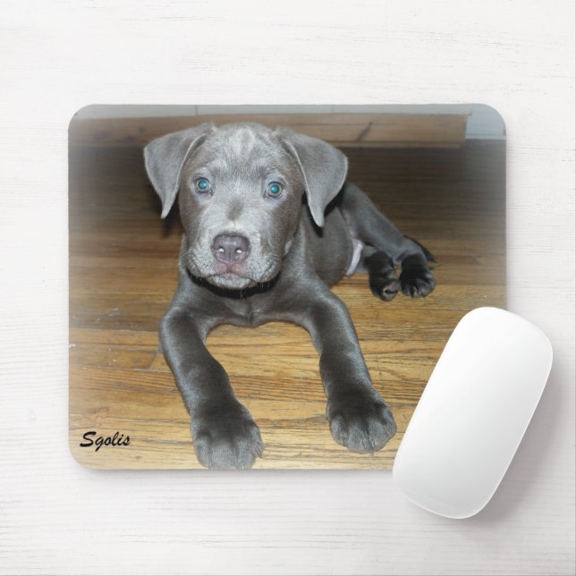 Tapis De Souris Chiots Pitbull / Chien Mignon  (Avec souris)
