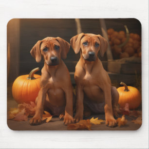 Tapis De Souris Chiots Rhodesian Ridgeback Automne Délice Citrouil