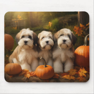 Tapis De Souris Chiots Terrier Tibétain Délice d'Automne Citrouill