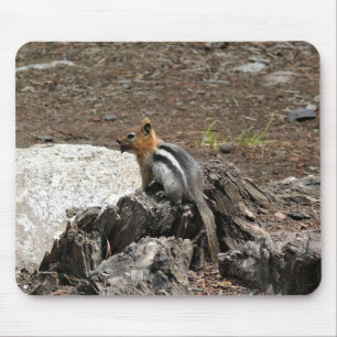 Tapis De Souris Chipmunk à Yosemite, Californie