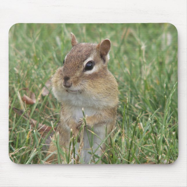 Tapis De Souris Chipmunk Cheeks Souris (Devant)