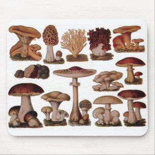 Tapis De Souris Chipster végétarien steampunk vintage champignon