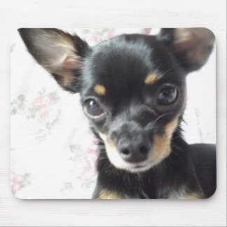 Tapis De Souris chiwawa Mousepad
