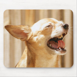 Tapis De Souris Chiwawa riant