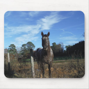 Tapis De Souris Chocolat au lait Cheval Brown en bleu