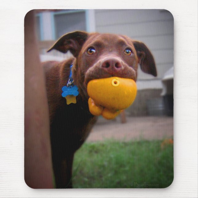 Tapis De Souris Chocolat Lab Chiot avec balle (Devant)