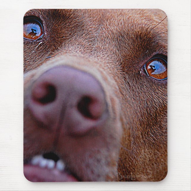Tapis De Souris Chocolat Lab Pit Mélanger le nez de chien (Devant)