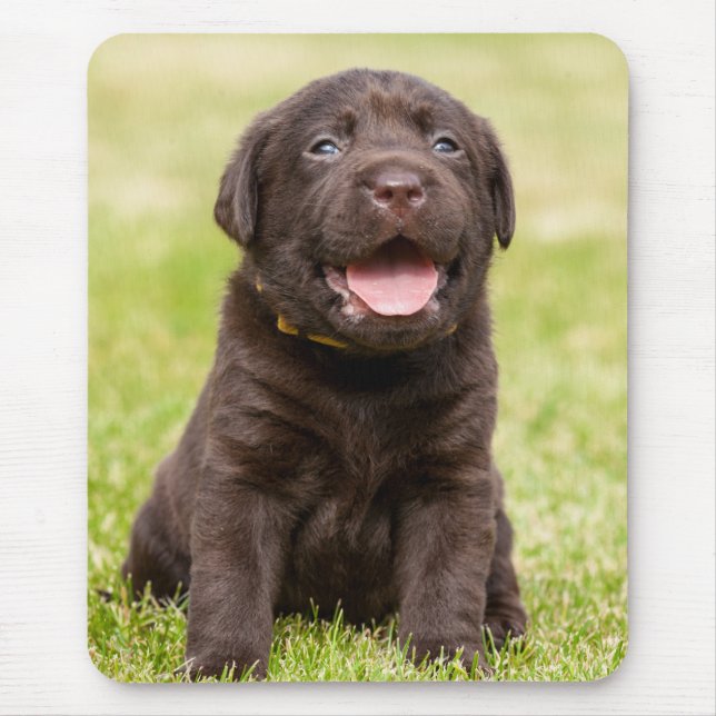 Tapis De Souris Chocolat Lab Puppy (Devant)