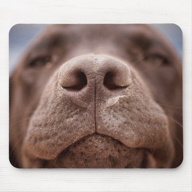 Tapis De Souris Chocolat Labrador Closeuse du nez (Devant)