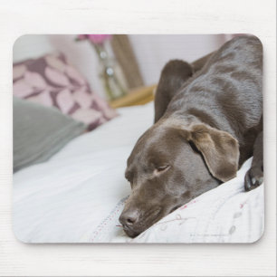 Tapis De Souris Chocolat Labrador dormant sur le lit